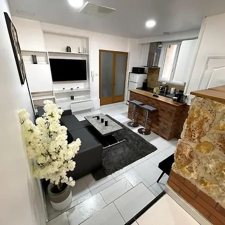 Διαμέρισμα Loft Cosy Et Tres Elegant