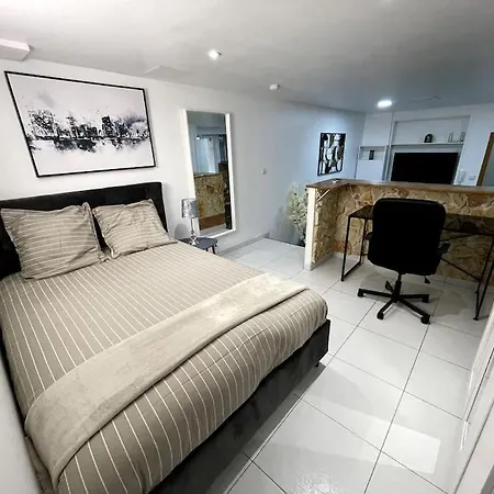 Loft Cosy Et Tres Elegant