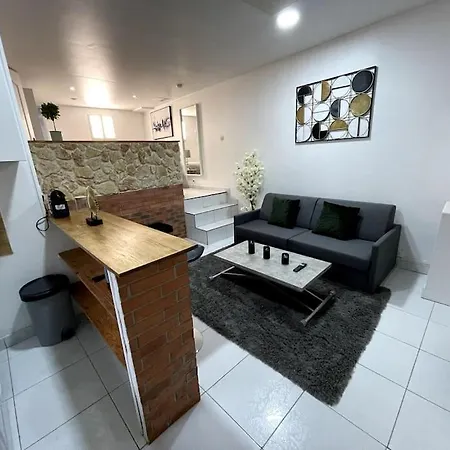 Apartment Loft Cosy Et Tres Elegant Saint-Cyr-l'Ecole