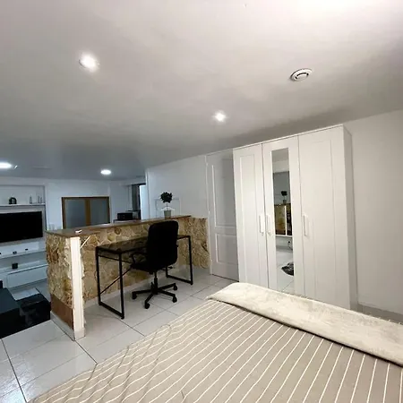 Loft Cosy Et Tres Elegant